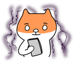 3487167
