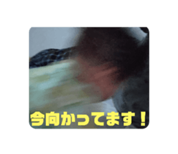 348884471
