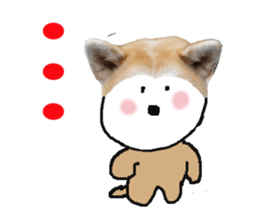 348981837