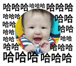 349012212