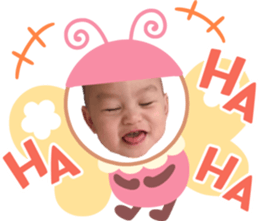 349043817