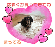 349050648