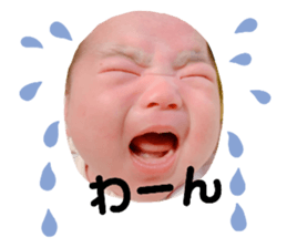 349065029
