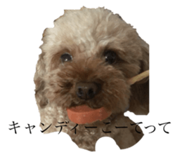 349075387