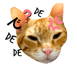 349099816