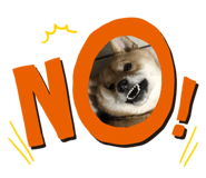 349120549
