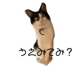 349121632