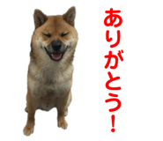 349123446
