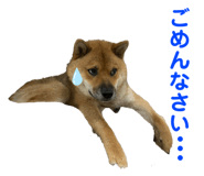 349123447
