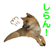 349123449