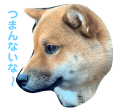 349123460