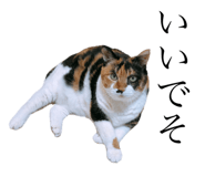 349130899