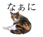 349130907