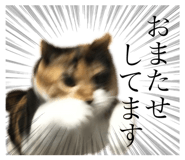 349130914