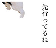 349130916