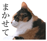 349130921