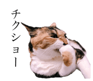 349130927