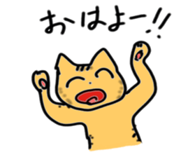 3491327