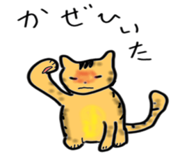 3491335