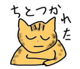 3491344
