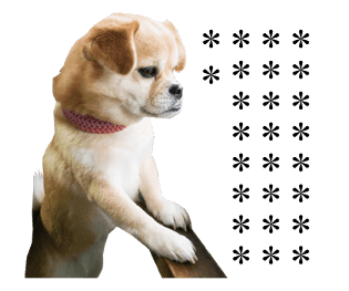 349138428