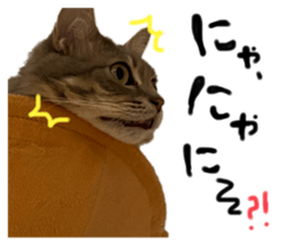 349169080