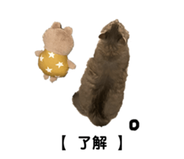 349169083