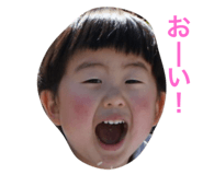 34920381