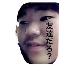 349240441
