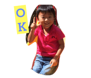 34924481