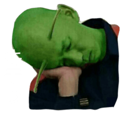 349273652