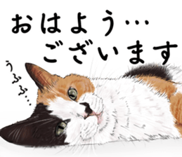 349305574
