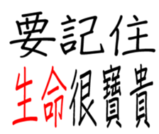 349310668