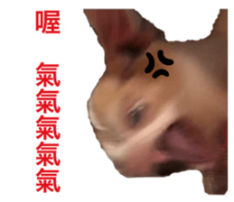 349312082