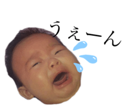 349314434