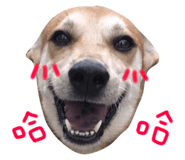 34938758