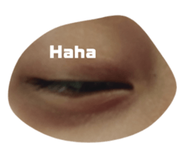 349416902