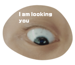 349416908