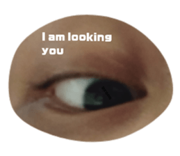 349416909