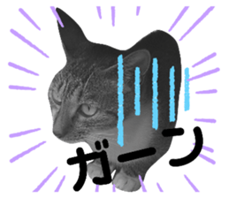 349431987