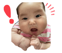 349441554