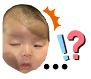 349442961