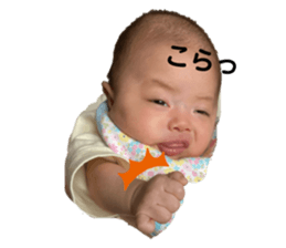 349443045