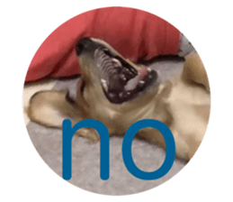 349456729
