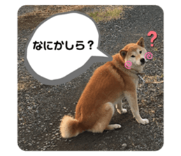 349482645