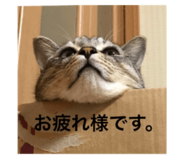 349501535