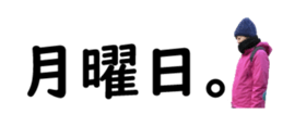 349519411