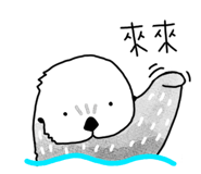 349571221