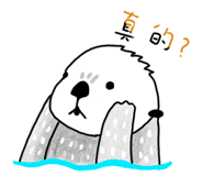 349571224