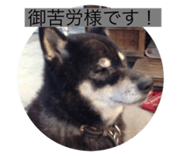 349607175